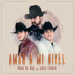 Amar a Mi Nivel - Single by Vena De Rey & Joss Favela album reviews, ratings, credits