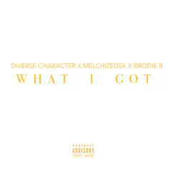 What I Got (feat. Diverse Character) - Single by Brodie B & Melchizedek album reviews, ratings, credits