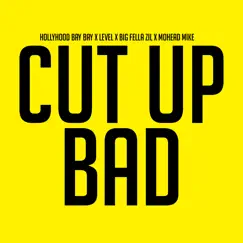 Cut up Bad (feat. LEVLE, MOHEAD MIKE & HOLLYHOOD BAY BAY) Song Lyrics