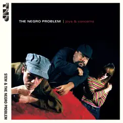 Joys & Concerns by Stew & The Negro Problem album reviews, ratings, credits