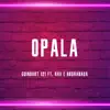 Opala (feat. BkGranada & Rav) - Single album lyrics, reviews, download