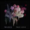 True Love - Single album lyrics, reviews, download