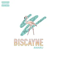 Biscayne - Single by AMARU album reviews, ratings, credits