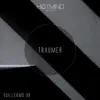 Traumer - Single album lyrics, reviews, download