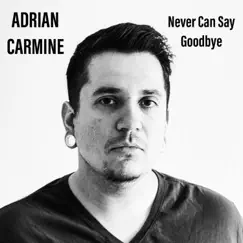 Never Can Say Goodbye - Single by Adrian Carmine album reviews, ratings, credits