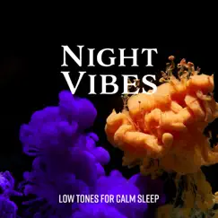 Night Vibes 256 Hz Song Lyrics