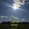 One of Many - Single album lyrics, reviews, download