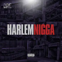 Harlem N***a - Single by Harlem World Dre album reviews, ratings, credits