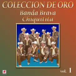 Colección De Oro, Vol. 1: Chiquitita by Banda Brava album reviews, ratings, credits