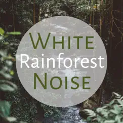 White Noise Rainforest - Entspannende Weißes Rauschen mit Tropische Naturgeräusche zum Loslassen by Moana Kea & Evan Tierisch album reviews, ratings, credits