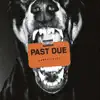 Past Due - Single album lyrics, reviews, download