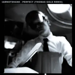 Perfect (Thomas Gold Remix) - Single by Iamnotshane & Thomas Gold album reviews, ratings, credits