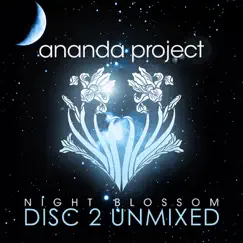 Night Blossom by Ananda Project album reviews, ratings, credits