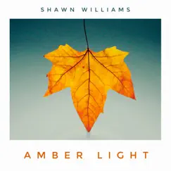 Amber Light Song Lyrics