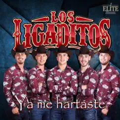 Ya Me Hartaste - Single by Los Ligaditos album reviews, ratings, credits