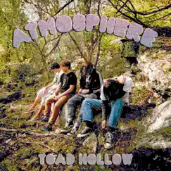 Atmosphere - Single by ToadHollow album reviews, ratings, credits