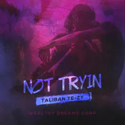 Not Tryin' - Single by Taliban Te-zy album reviews, ratings, credits