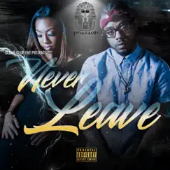 Never Leave - Single by Baba Pharaoh album reviews, ratings, credits