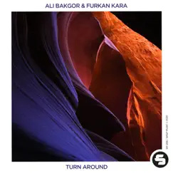Turn Around - Single by Ali Bakgor & Furkan Kara album reviews, ratings, credits