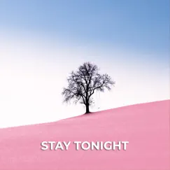 Stay Tonight Song Lyrics