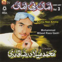 Amma Nee Amma, Vol. 3 by Milad Raza Qadri album reviews, ratings, credits