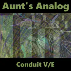 Conduit V/E by Aunt's Analog album reviews, ratings, credits