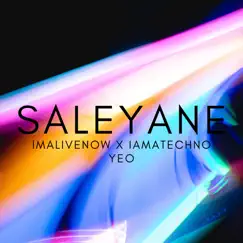 Saleyane - Single by IMALIVENOW, IAMATECHNO & Yeo album reviews, ratings, credits