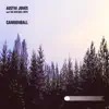 Cannonball (feat. Merry Ellen Kirk) - Single album lyrics, reviews, download