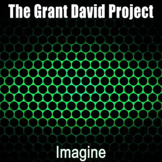 Download Imagine (Radio Edit) The Grant David Project MP3