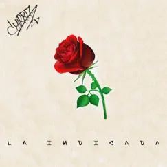 La Indicada - Single by Chirriz album reviews, ratings, credits