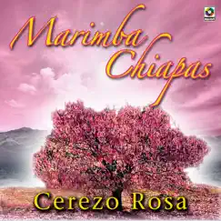 Cerezo Rosa Song Lyrics