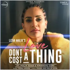 Love Don't Cost A Thing (feat. Malik Saab & Himanshu Soni) - Single by Lizaa Malik album reviews, ratings, credits