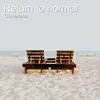 Return to Normal song lyrics