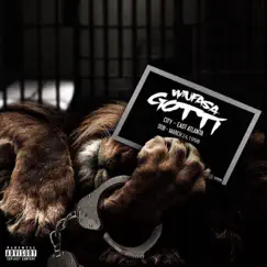 Mufasa Gotti by Big Mufasa Gotti album reviews, ratings, credits