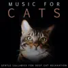 Music For Cats: Gentle Lullabies For Deep Cat Relaxation album lyrics, reviews, download