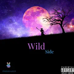WildSide - Single by Prodagii album reviews, ratings, credits