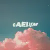 Caelum (feat. 530 Clan) - Single album lyrics, reviews, download