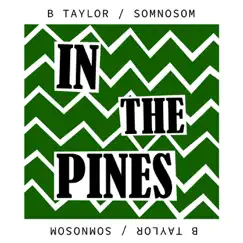 In the Pines - Single by B Taylor Somnosom album reviews, ratings, credits