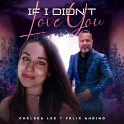 If I Didn't Love You (Bachata Version) - Single by Felix Andino & Chelsea Lee album reviews, ratings, credits