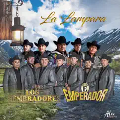 La Lámpara (feat. Los Sembradores) Song Lyrics