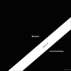 Minimal State of Consciousness by Nick Ar Gall album reviews, ratings, credits