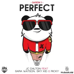 Perfect (feat. Sara Watson, Sky Kid & Ricky) Song Lyrics