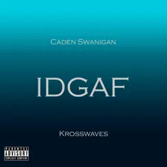 IDGAF (feat. Krosswaves) Song Lyrics