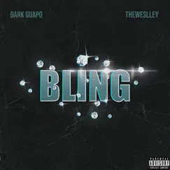 Bling Song Lyrics