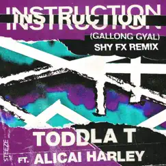Instruction (Gallong Gal) [Shy FX Remix] Song Lyrics