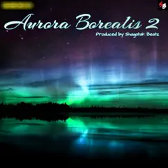 Aurora Borealis 2 by Northern Light Star album reviews, ratings, credits