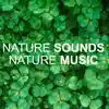 Nature Sounds Nature Music - EP album lyrics, reviews, download