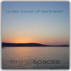 Under Cover of Darkness - EP by Liminal Spaces album reviews, ratings, credits