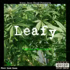 Leafy (feat. Shawty Boy) Song Lyrics