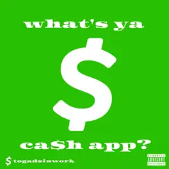 What's Ya Ca$h App? - Single by Toga Doin' Work album reviews, ratings, credits